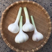 【野菜セット増量オプション】にんにく250g（およそ6～8玉）