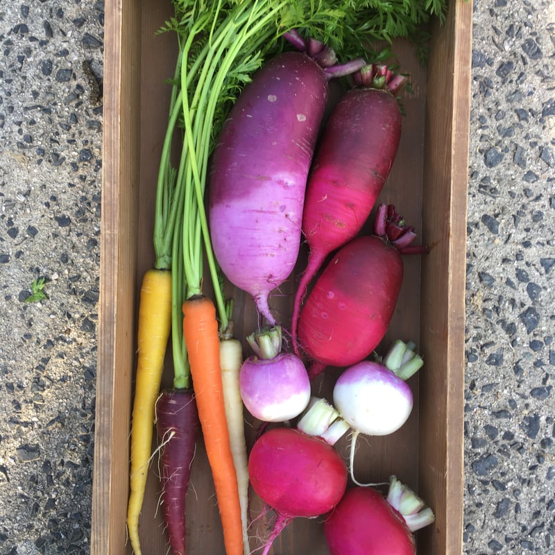 リピーターのあんず、ヒノヒカ10kg 野菜セットです。奈良県産 SPIRA FARM BOX —旬の野菜セット—《クロネコヤマト発送