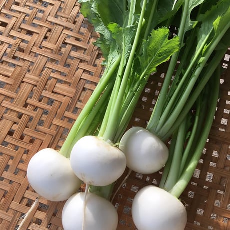 SPIRA FARM BOX　—旬の野菜セット—《クロネコヤマト発送》