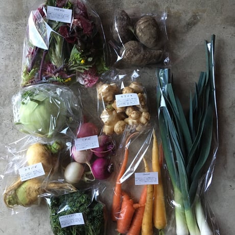 SPIRA FARM BOX　—旬の野菜セット—《クロネコヤマト発送》