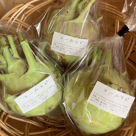 SPIRA FARM BOX　—旬の野菜セット—《クロネコヤマト発送》