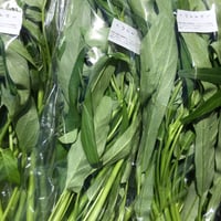 【野菜セット増量オプション】空芯菜