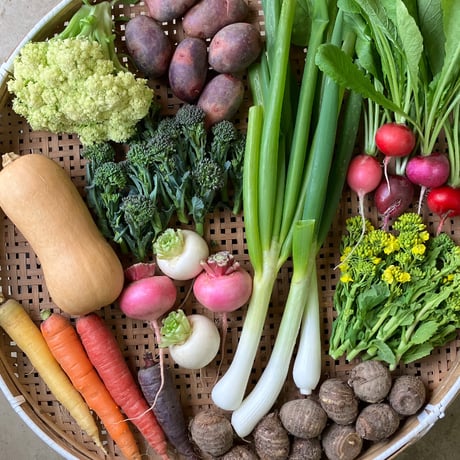 SPIRA FARM BOX　—旬の野菜セット—《クロネコヤマト発送》