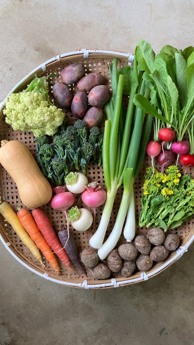 SPIRA FARM BOX —旬の野菜セット—《クロネコヤマト発送》 | SPIRA FAR