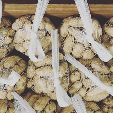 食べ始めたら止まらない♩茹でたてホクホク！手のひらサイズの生落花生「おおまさり」（3kg）