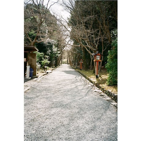 【OLYMPUS】 XA2 フィルムカメラ（分解整備済・フラッシュA11付属・no01）