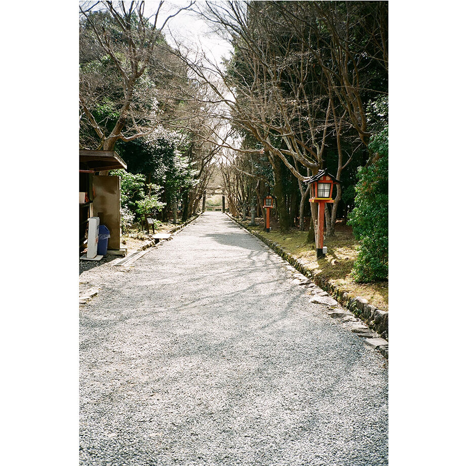 OLYMPUS】 XA2 フィルムカメラ(分解整備済・フラッシュA11付属 OLYMPUS】 XA2 フィルムカメラ(分解整備済・フラッシュA11付属