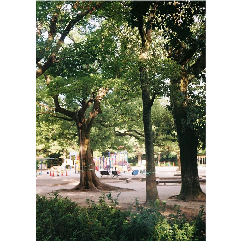 OLYMPUS】 PEN D3 フィルムカメラ（分解整備済・オリジナルストラップ
