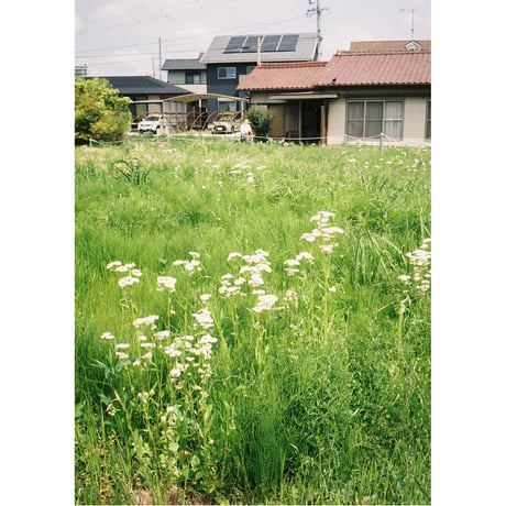 【RICOH】 AUTO HALF SE2 フィルムカメラ（分解整備済・no04）