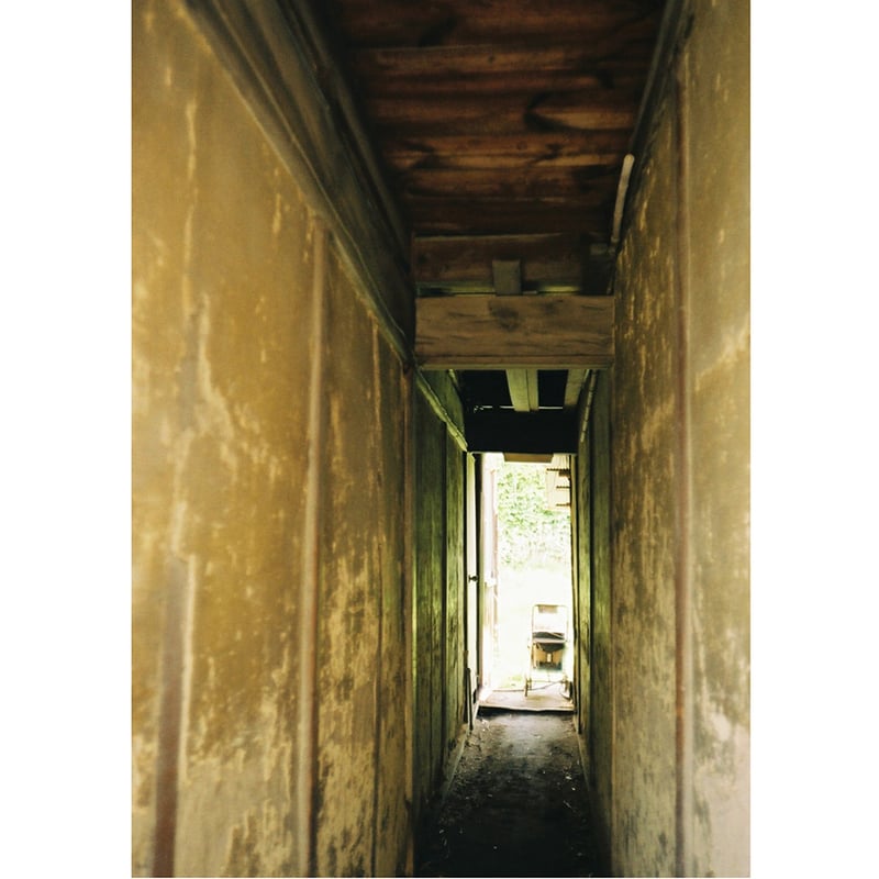 KONICA】 C35 E&L（分解整備済・no31） | Dear Prudence／ディ