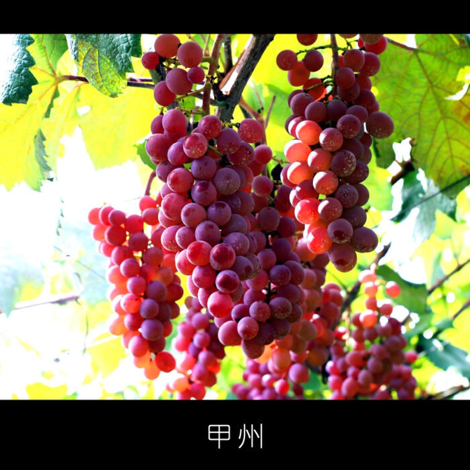 61f3c7ee81dbb5084dc16ad5