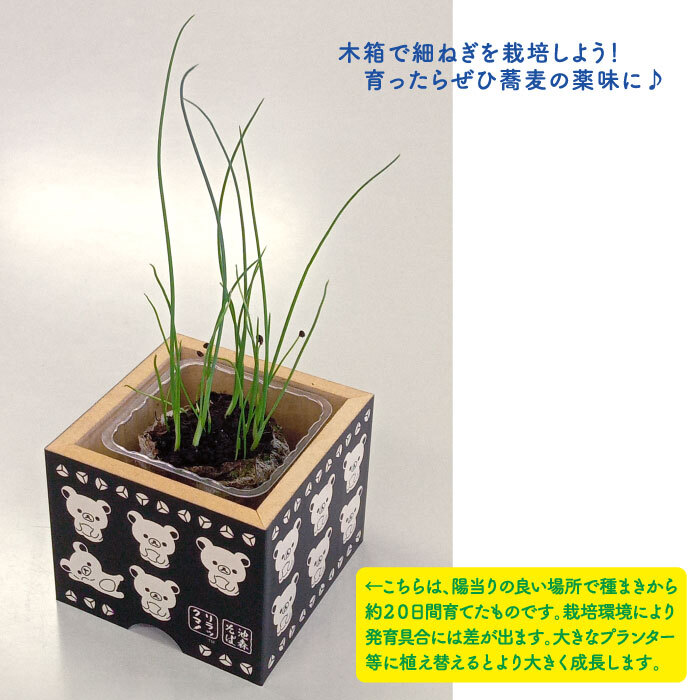 DMKスティック　3箱セット fit=scale-down,w=1200