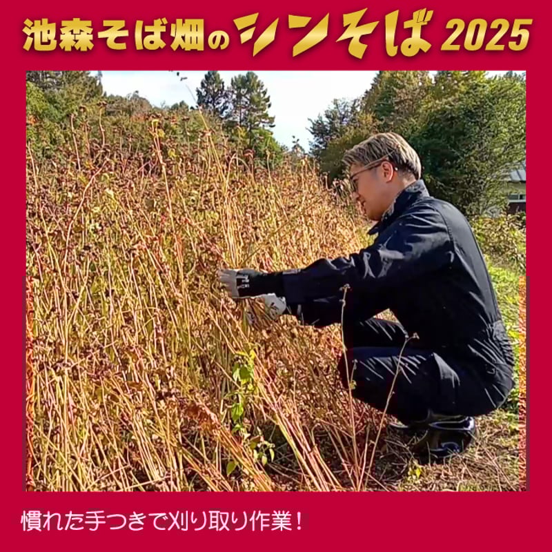 A-25 二八の極みプレミアム 池森そば畑の新そば2025 | 池森そば 公式