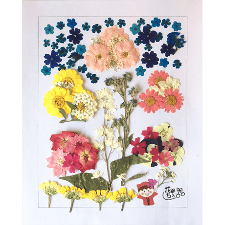 【先着10個　12月中旬発送予定】押し花額装（花京院ちえり）