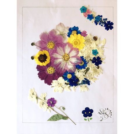 【先着10個　12月中旬発送予定】押し花額装（白椿蒼）