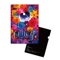 映画「白爪草」クリアファイル