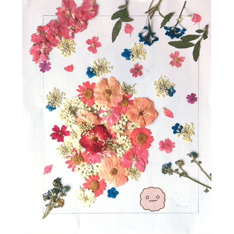 【先着10個　12月中旬発送予定】押し花額装（もこ田めめめ）