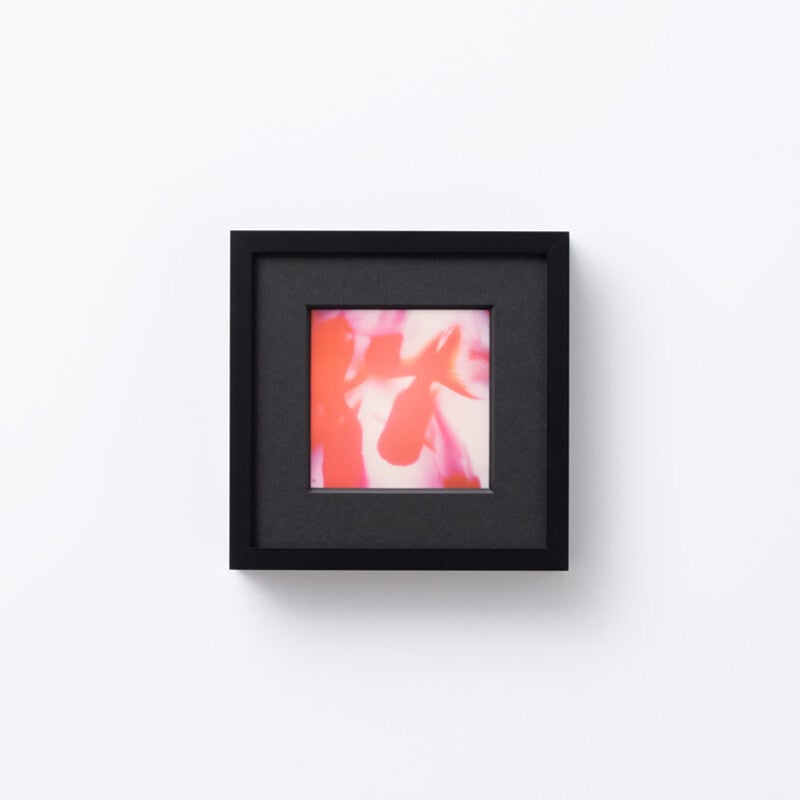 受注販売】ポラロイド作品 | MNFF08−ESCAPE01 | MIKA NINAGAWA