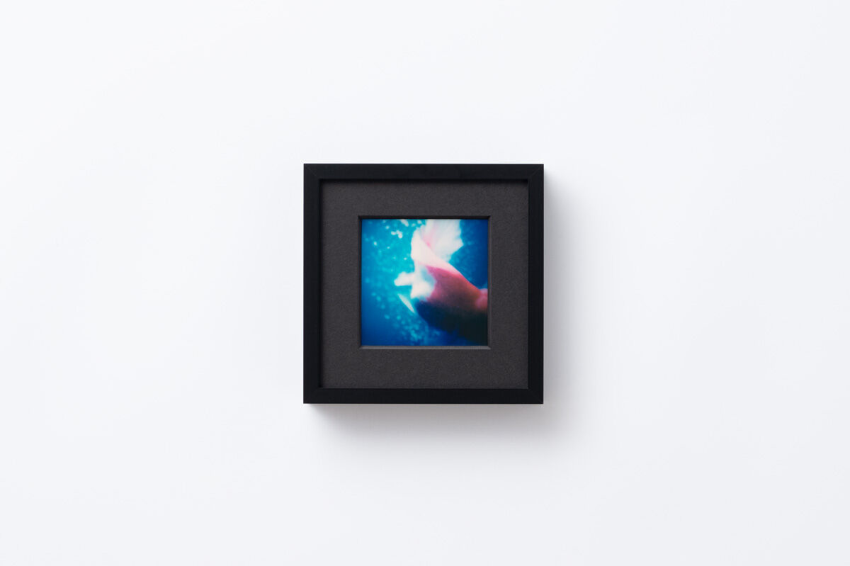 受注販売】ポラロイド作品 | MNFF08−ESCAPE03 | MIKA NINAGAWA