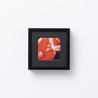 ■レプリカ■ポラロイドコレクション■ファンタン＝ラトゥール「ガラス器の中のバラ」 □レプリカ□ポラロイドコレクション□ファンタン＝ラトゥール