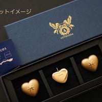 【お得なSet販売】黄道12星座✴︎ペンダント＆耳飾り