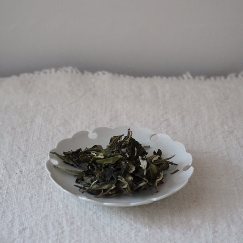 中国茶古樹白茶 古樹白茶 : お茶の専門店HOJO