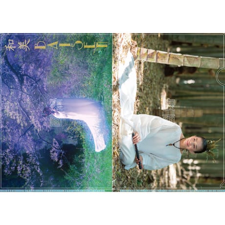 森田梅泉オンラインショップ