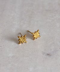 【金アレ対応】スターピアス・イヤリング