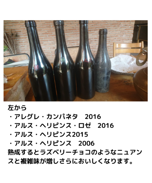 アルス・ヘリピンス 2015 | くろいぬ酒店