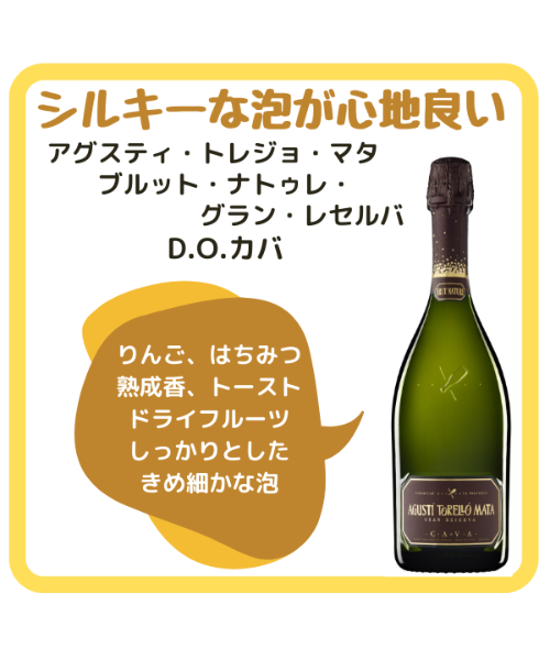 非売品 マニア垂涎の的！激レア！NTカッタ－オ－ルスタ－ズ ANIA AS-38 Hercules Beetle | ANIA Animal Adventure | Limited