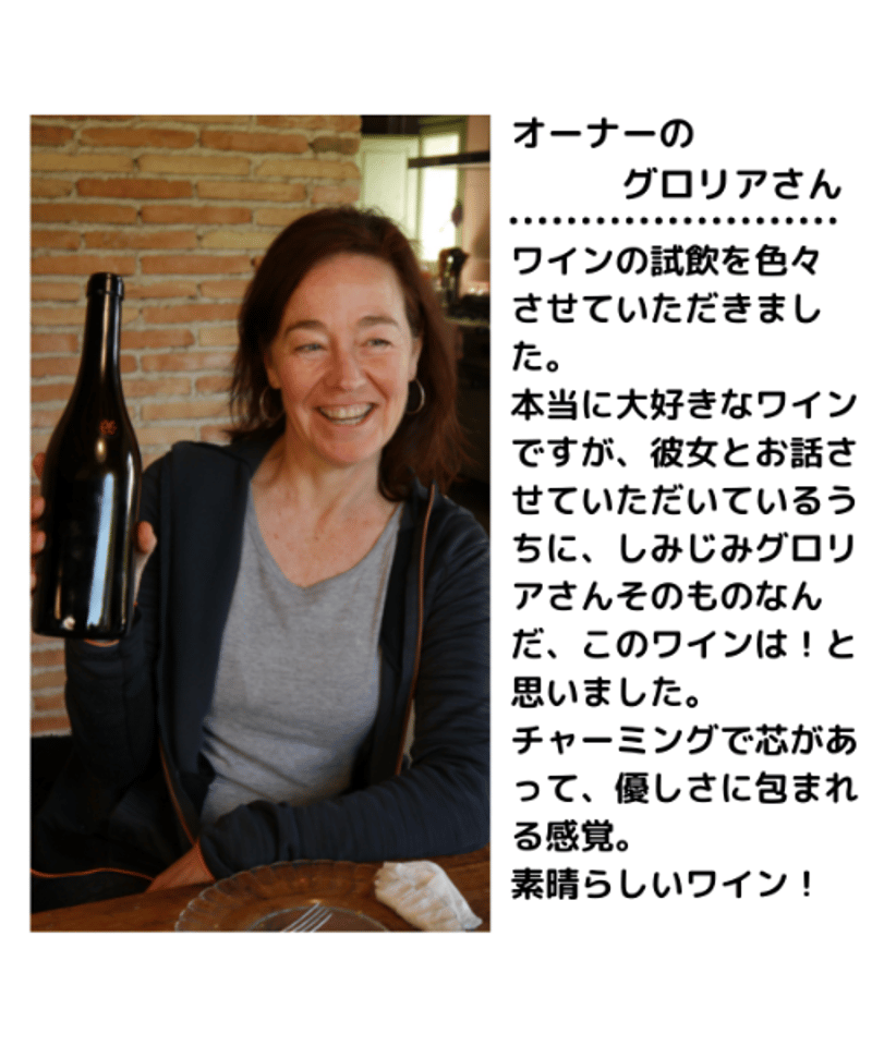 r*n様 【自然派ワイン】アルス・ヘリピンス アルス・ヘリピンス＞アルス・ヘリピンス 2020<br>Els Jelipins