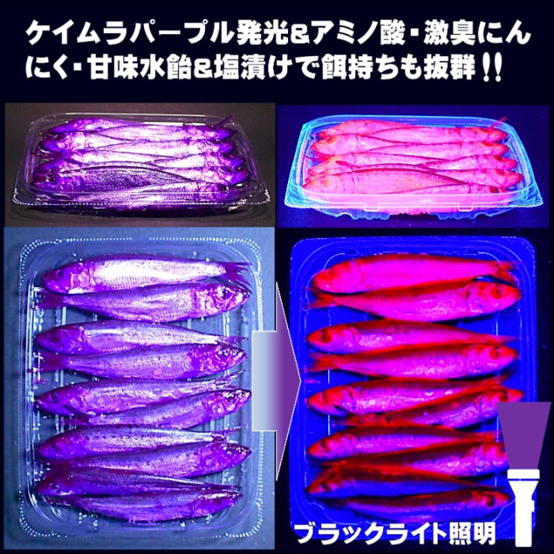 テンヤタチウオ 餌 テンヤ太刀魚 仕掛け 激臭にんにく アミノ酸配合