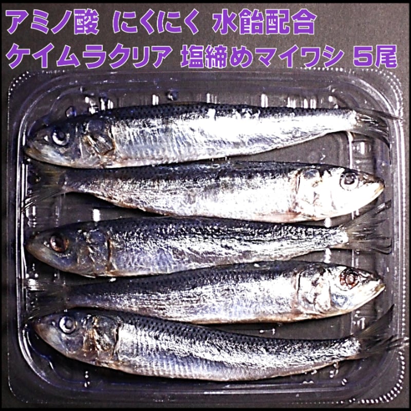 テンヤタチウオ 餌 テンヤ太刀魚 仕掛け 激臭にんにく アミノ酸配合