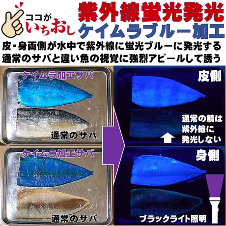 集魚剤 紫外線加工液 釣り餌 用 ケイムラブルー レッド190ml ２色組 冷凍 オキアミ 冷凍イワシ エサ 海上釣堀 エサ アミエビ 釣りエサ サンマ キビナゴ  餌 カツオのハラモ 冷凍サンマ