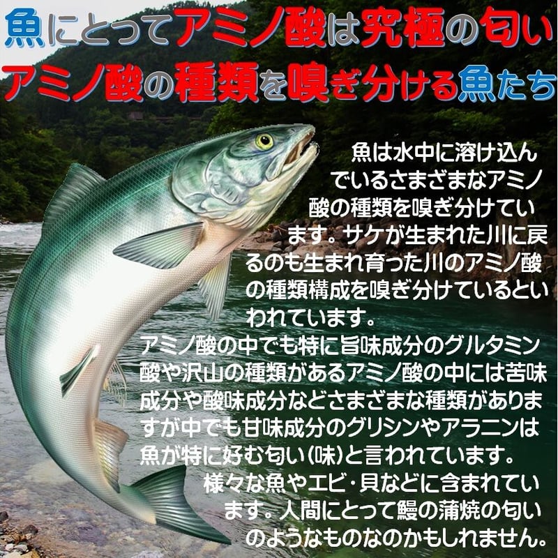 冷凍餌 ジギング キビナゴ 釣り餌専用 躓か 冷凍 