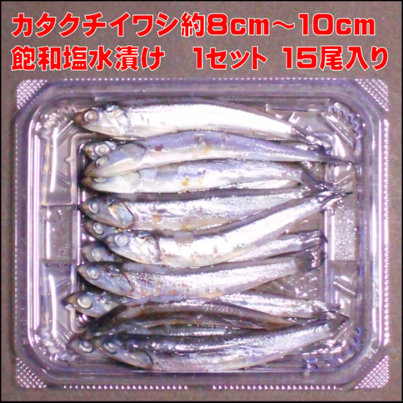 釣り餌 セグロイワシ 片口イワシ 背黒イワシ アミノ酸 激臭にんにく