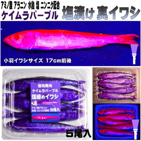 タチウオテンヤ40号3色ダブルフック10セット 無