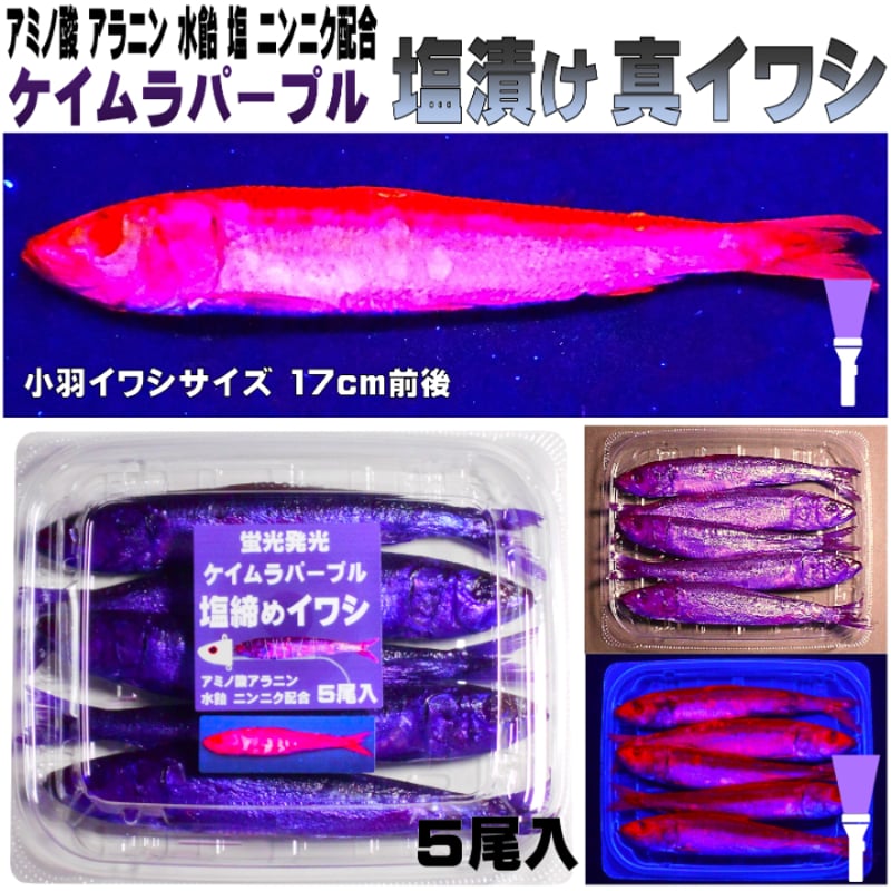 テンヤタチウオ 餌 テンヤ太刀魚 仕掛け 激臭にんにく アミノ酸配合