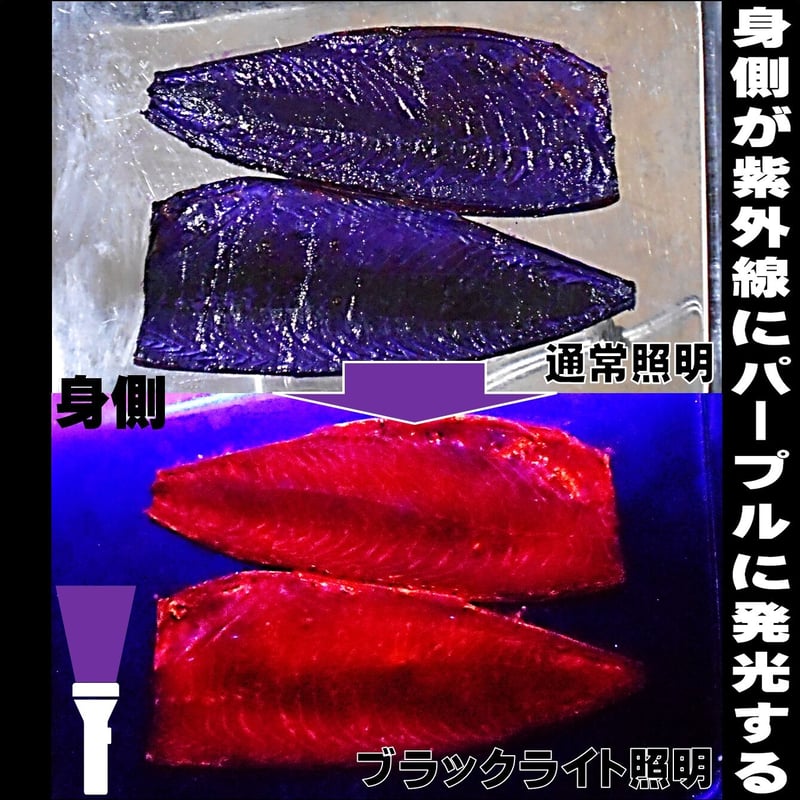 集魚剤 紫外線加工液 ケイムラブルー パープル190ml2色組 冷凍