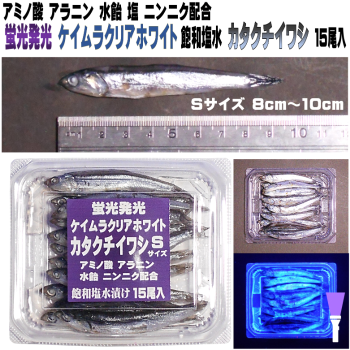 釣り餌 セグロイワシ 片口イワシ 背黒イワシ アミノ酸 激臭にんにく