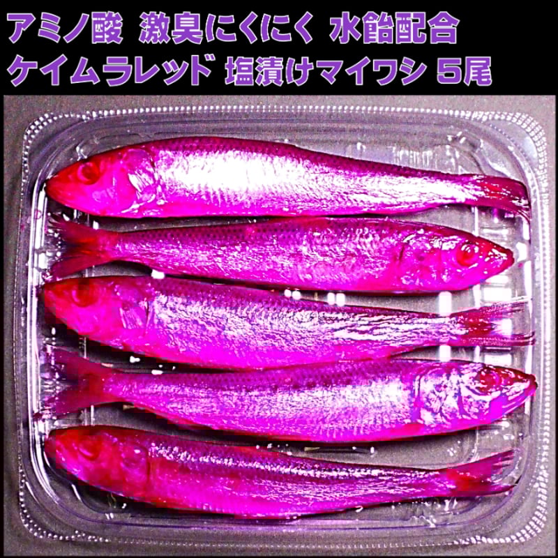 テンヤタチウオ 餌 テンヤ太刀魚 仕掛け 激臭にんにく アミノ酸配合