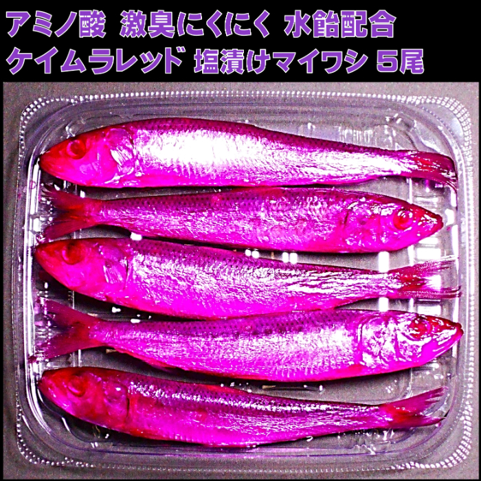 テンヤタチウオ 餌 テンヤ太刀魚 仕掛け 激臭にんにく アミノ酸配合