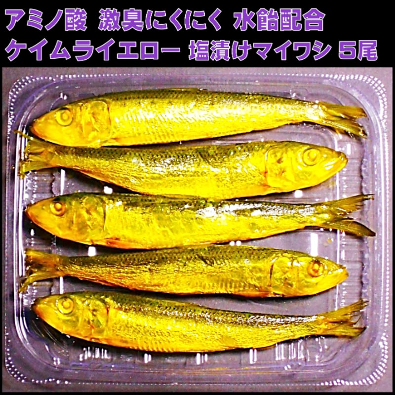 超お得！　未使用品、美品有り　ルアー餌木タチウオテンヤVJなど82点セット 超お得！ 未使用品、美品有り ルアー餌木タチウオテンヤVJなど82