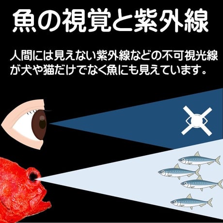 ベニアコウ コウジンメヌケ オオサガ 仕掛け ケイムラ 紫外線 蛍光 発光 フラッシャー 毛鉤 ムツ針 28号 太地 ケイムラ 黄緑 & 紫 フラッシャー ５本組