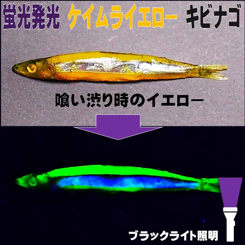集魚剤 紫外線加工液 海上釣堀 エサ 徳用 つけエサ用 ケイムラ 濃縮