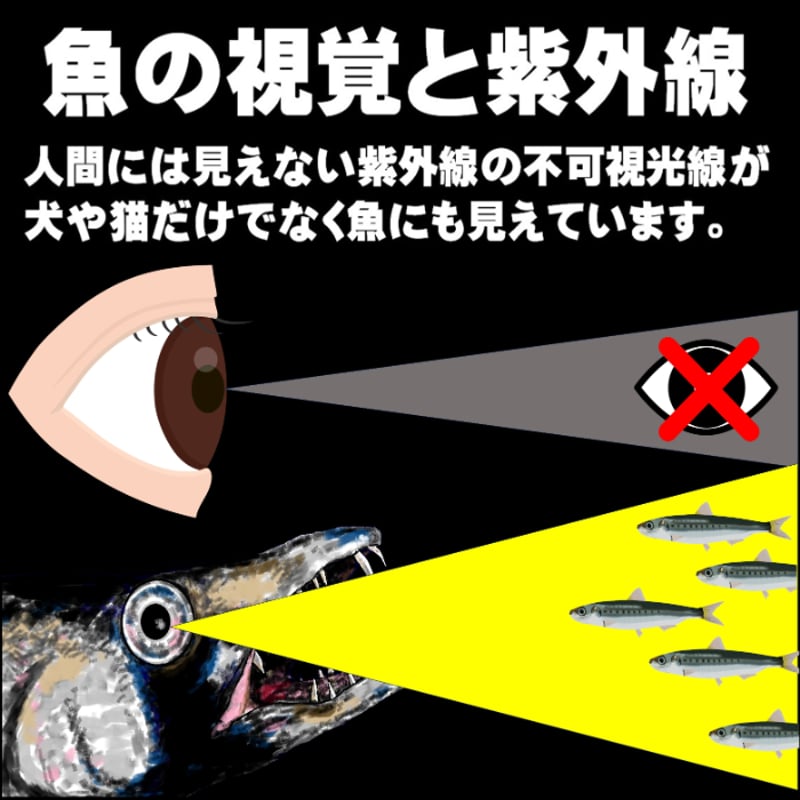 テンヤタチウオ 餌 テンヤ太刀魚 仕掛け 激臭にんにく アミノ酸配合