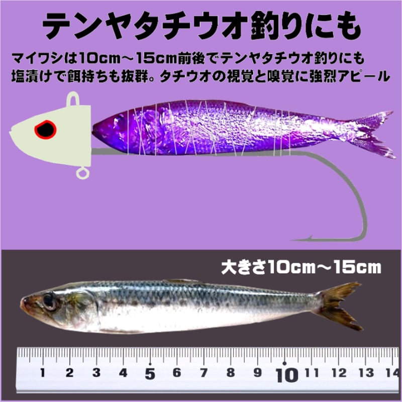 テンヤタチウオ 餌 テンヤ太刀魚 仕掛け 激臭にんにく アミノ酸配合