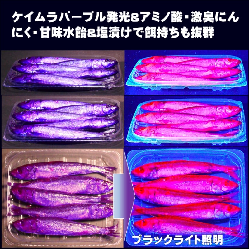 テンヤタチウオ 餌 テンヤ太刀魚 仕掛け 激臭にんにく アミノ酸配合