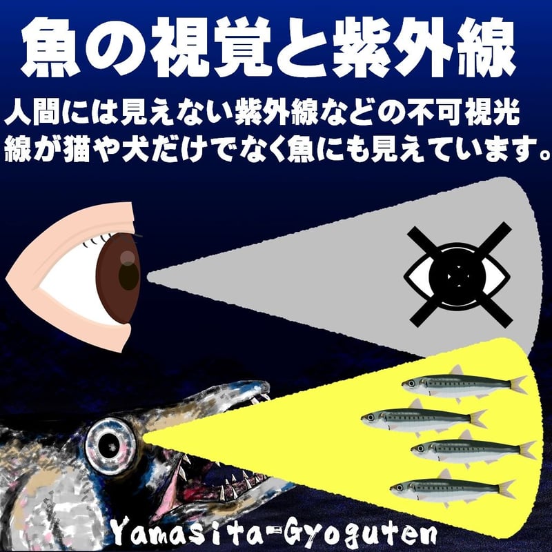 太刀魚 ワイヤー 0.39mm 20cm 3色組 スナップサルカン付 太刀魚