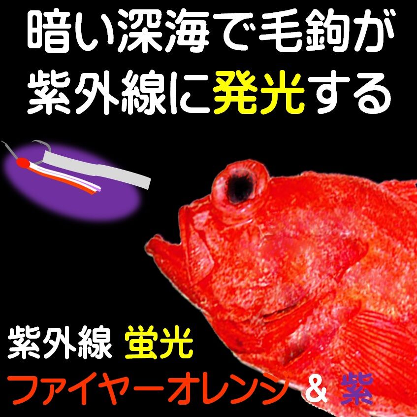 ベニアコウ コウジンメヌケ オオサガ 仕掛け ケイムラ 紫外線 蛍光